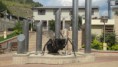 /album/fotogaleria-inicio1/a10408160-831443240255132-5319898538895085003-n-jpg/